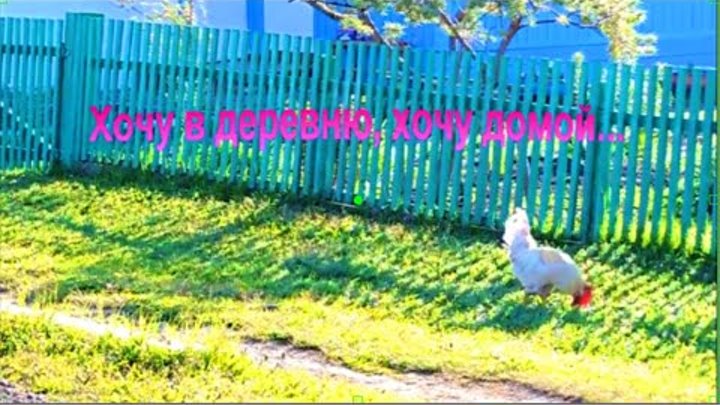 Деревня слово. Хочу в деревню. Тянет в деревню. Песня хочу в деревню. Забор для коров.