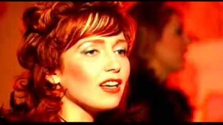 дай дай дай дай дай. мем чайки дай-дай. вавилон дай дай дай. чайки мультфильм немо. чайка из мультфильма.