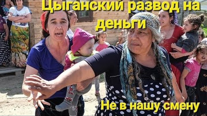 Цыгане иваново. Цыганка разводит. Цыган из тик тока. Цыганка разводит. Цыгане разводят.