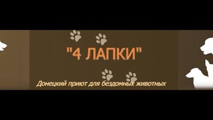 4 лапки приют для животных донецк. Приют четыре лапы в донецке. Приют для собак в донецке 4 лапки. Приют четыре лапы в донецке. Приют 4 лапки донецк.