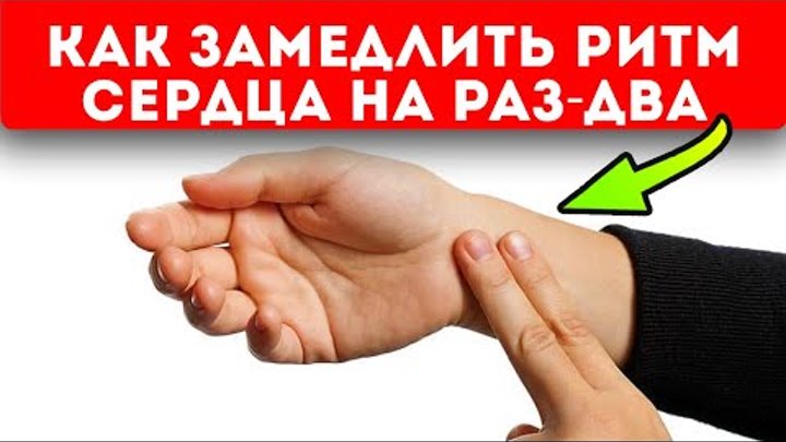 Как быстро снять тахикардию в домашних условиях Смотрите видео "Вот как старые кардиологи лечат тахикардию без таблеток и лекарс