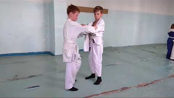 Передняя подножка в дзюдо