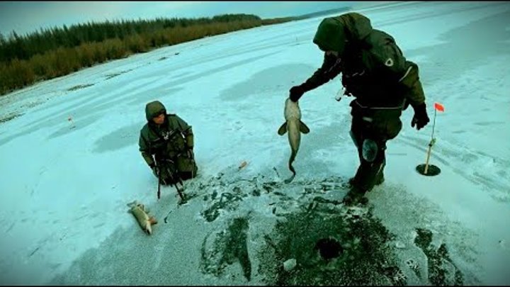 Новинки зимней рыбалки видео. Клёвая рыбалка в Якутии 2021. Рыбалка в Якутии 2020 2021. Первый лед 2020 зимняя рыбалка в Якутии. Клевая рыбалка в Якутии 2020.
