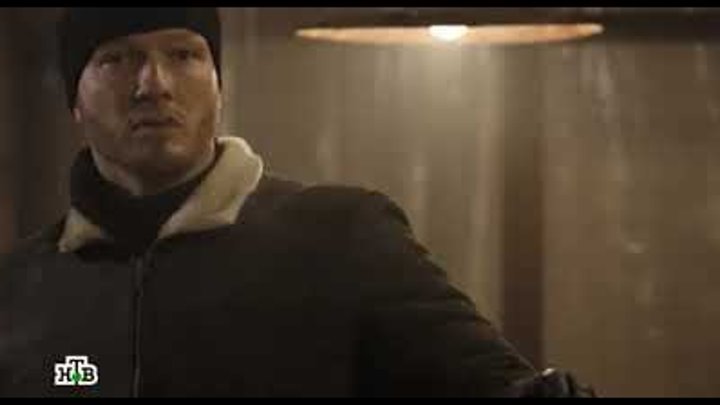 сиба-ину догги. пес тролль. пёс тролль. пес тролль. додж собака.