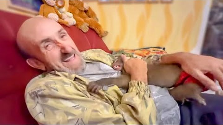 Степа маня тося и люська