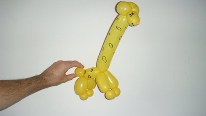 Фигуры из шариков колбасок. Твистинг жираф. Жираф из шдм. Как сделать жирафа из шарика. Жираф из шариков.