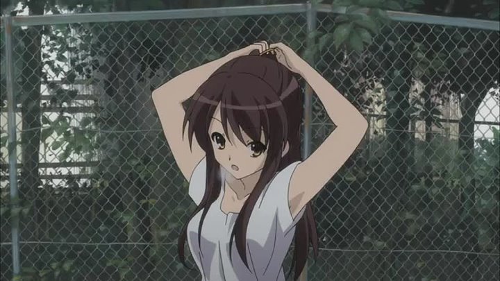 Das Verschwinden Der Haruhi Suzumiya Stream