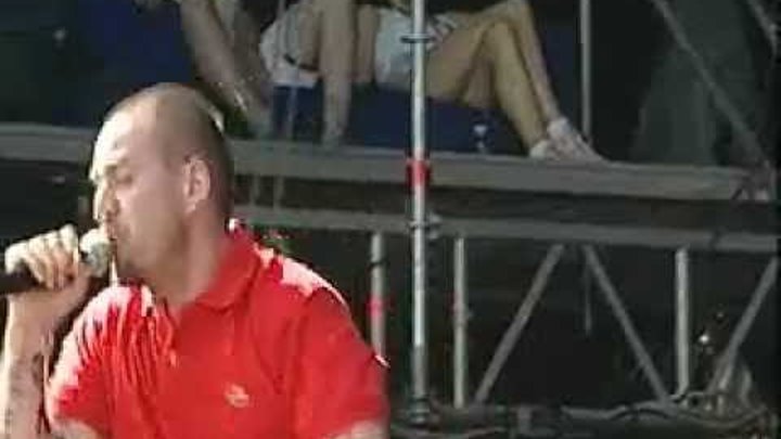 12 обезьян ляпис трубецкой. Ляпис трубецкой обезьян. Ляпис трубецкой 12 стульев. Brutto 12 обезьян. Брутто 12 обезьян.