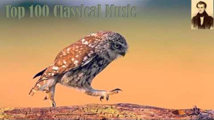 Johann Strauss I Radetzky March Op 228 Iogann Shtraus Otec Marsh Radeckogo
