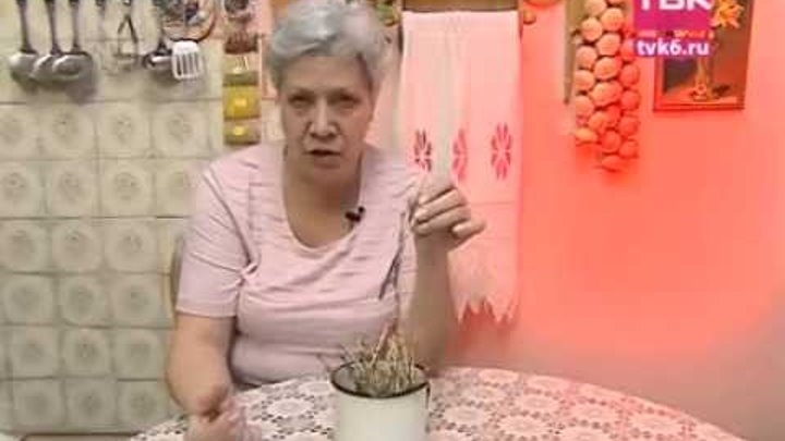 институт огородный девиц тетя таня. голова садовая с тетей таней. институт девиц тетя таня. голова садовая с тетей таней. канал институт огородных девиц.