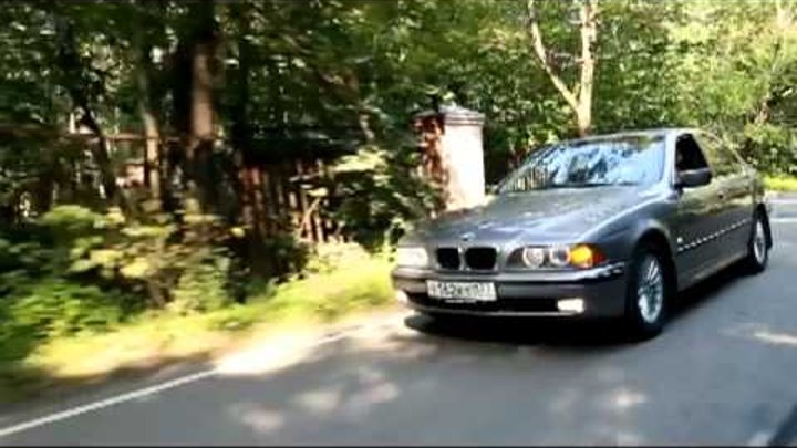 Доберман и BMW e39