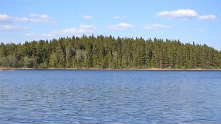 Wild Lake
