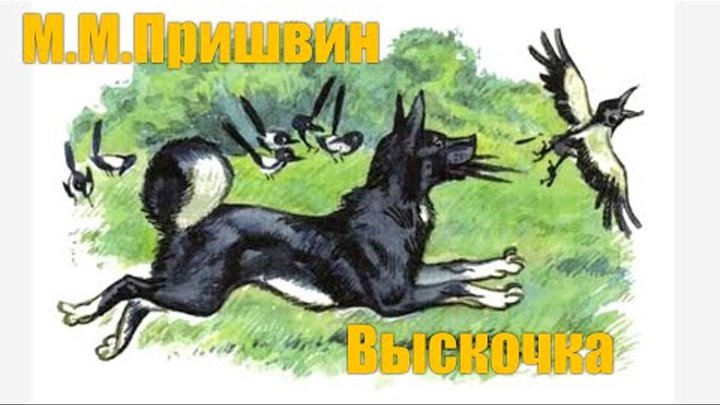 Рисунок к рассказу пришвина выскочка