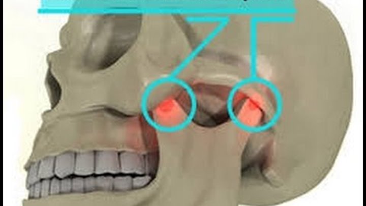 Заскрипели карусели захрустели челюсти картинка