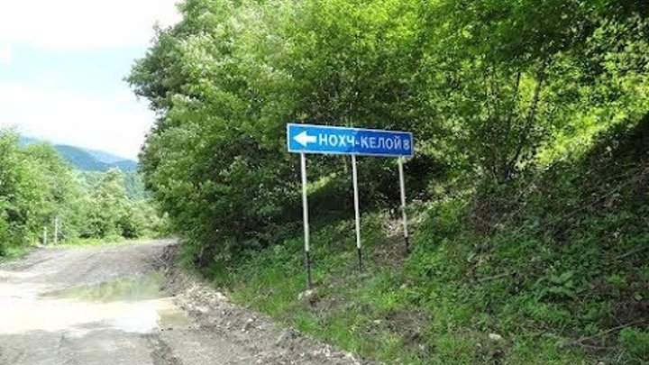 Хал келой чечня. Нохчи келой. Хал келой. Хал келой. Тейп беной.