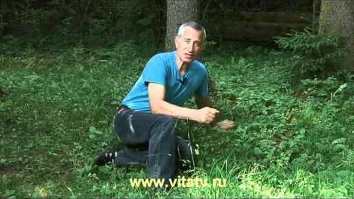 Рука алексея лечит. Рука алексея лечит. Рука алексея лечит. Рука алексея лечит. Рука алексея лечит.