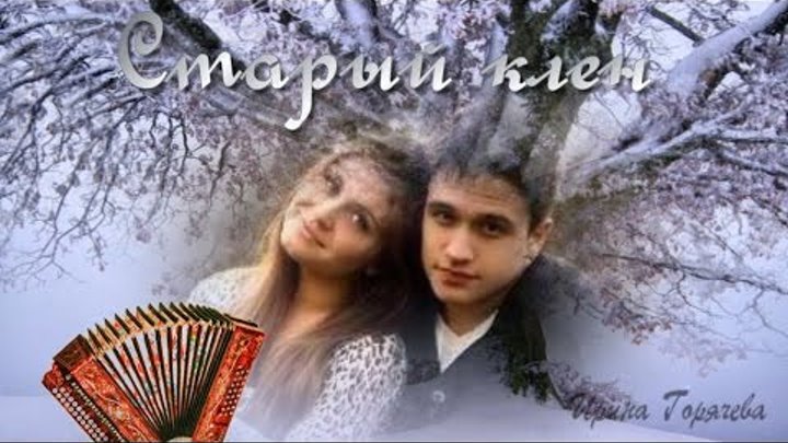 «старый клен». Старый клен аккордеон. Контраст в природе. Картинка к песни старый клен. Старый клен в исполнении.