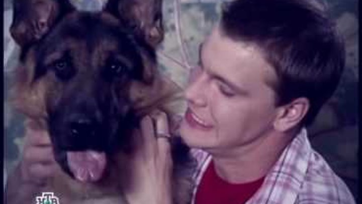 Возвращение мухтара четыре рисунка карандашом