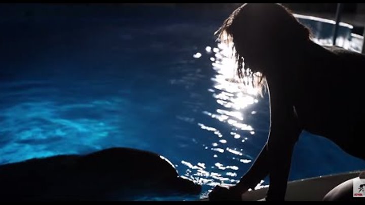 одно и то же solway. Solway firth космонавт. айова клипы. айова одно и тоже. Solway исполнитель фото.