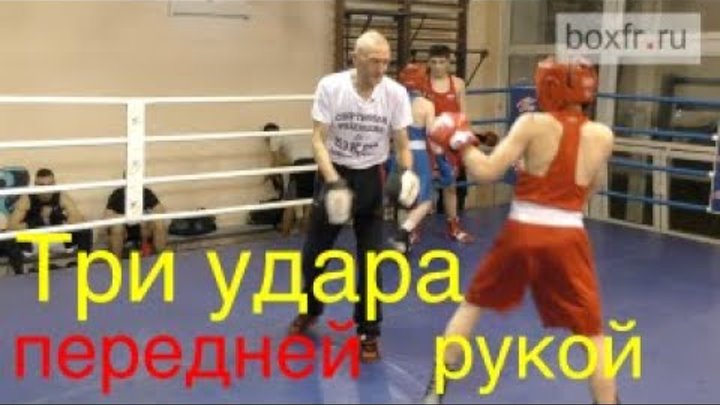 Фролов биомеханика ударов в боксе