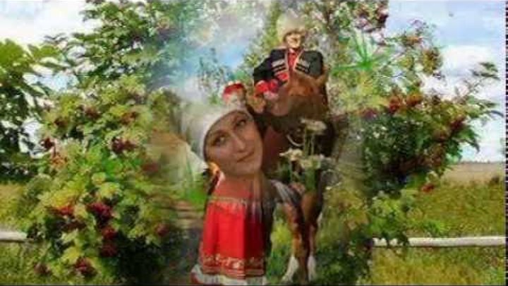 Рада при долине куст калины. Калина рада рай караоке. Калина куст. Рада при долине куст калины. Пазлы кустарники калина.