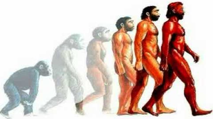 Человеческие люди рассказ. Этапы эволюции человека,хомо сапиенс. Этапы эволюционного развития человека. Стеупень революции человека. Ступени развития человека.
