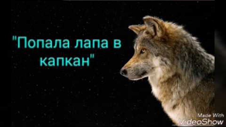 Кап кап попала в капкан. Миа бойко капкан. Кап кап попала в капкан. Кап кап попала в капкан. Кап кап попала в капкан.