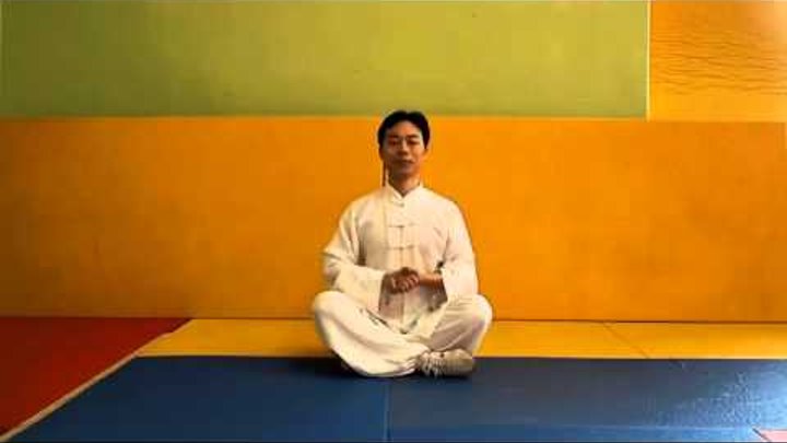 Чжун хэ цигун. Ван линь цигун. Ван линь 8 форм тайцзицюань. Праздник тайцзи и цигун. Путь мастера цигун ван липина.