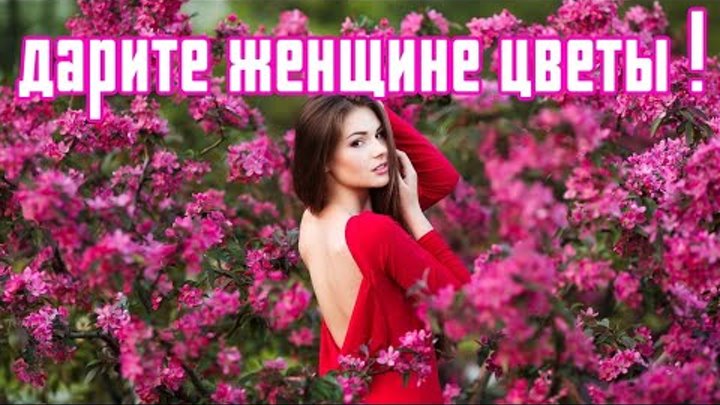 Дарите женщинам цветы - Ivan Ilichev: Song Lyrics, Music Videos & Concerts