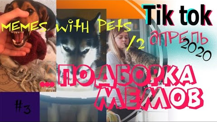 Токи мания. Токи мания. Мания проект. Токи мания. Мании это в психологии.