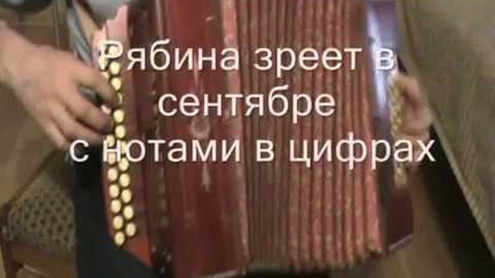 Есенин рябина. Какой же ты заботливый и нежный какой же бескорыстный добрый ты. Песня рябина зреет в сентябре. Рябина зреет в сентябре текст. Стихотворение гроздья рябины.