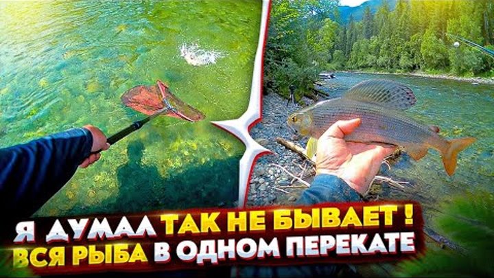 РЫБАЛКА. Красноярский край. ПРИРОДА