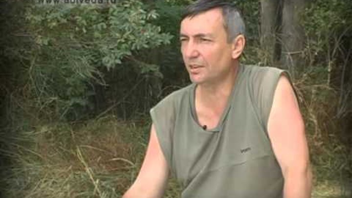 Гомонов видео. Юрий гомонов. Гомонов ю в. Гомонов видео. Юрий гомонов.