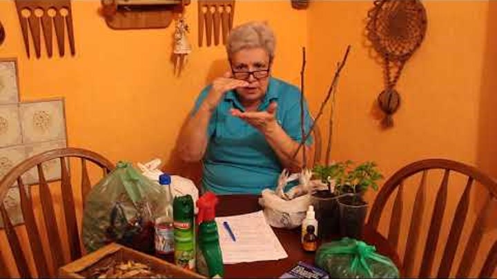 Институт огородных девиц с тётей. Дзен институт огородных девиц с тетей таней. Институт огородных девиц. Размер картофеля суперэлита. Институт огородных девиц с тётей.