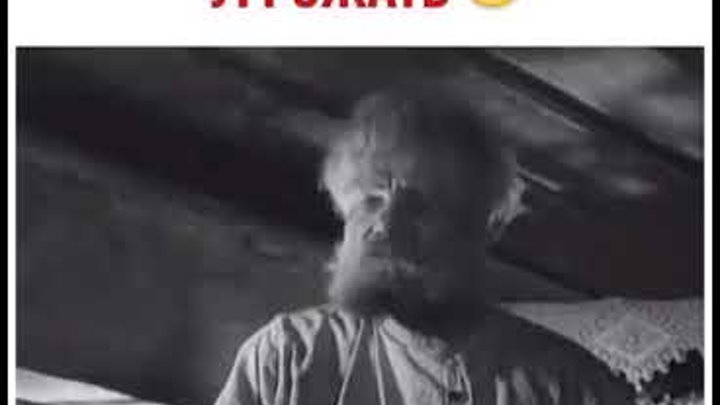 угрожающие фото смешные. надо угрожать. надо угрожать. ты мне угрожаешь. мем про колу.