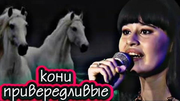 песня привередливые кони в исполнении анкудиновой дианы. диана анкудинова в гнезде глухаря. слушать диану анкудинову кони привередливые. диана анкудинова кони привередливые. диана анкудинова кони привередливые слушать.