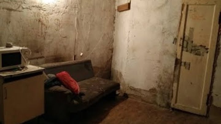 покупатель квартиры. любовь в квартире. риэлтор квартира. хозяева квартиры решили. хозяева квартиры решили.