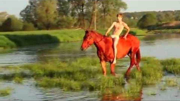 Клипы с лошадьми. Q lazzarus goodbye horses. Купание красного коня. Танцующая лошадь клип. Конь любэ обложка.
