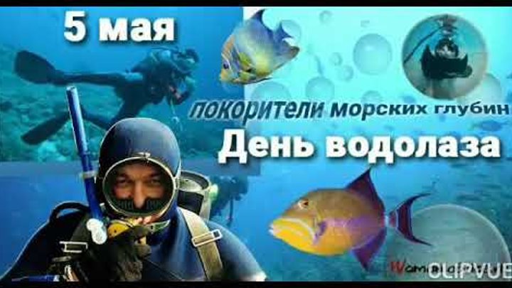 Мир 5 мая. День водолаза. День водолаза в России. С днем водолаза поздравление. День водолаза открытки.