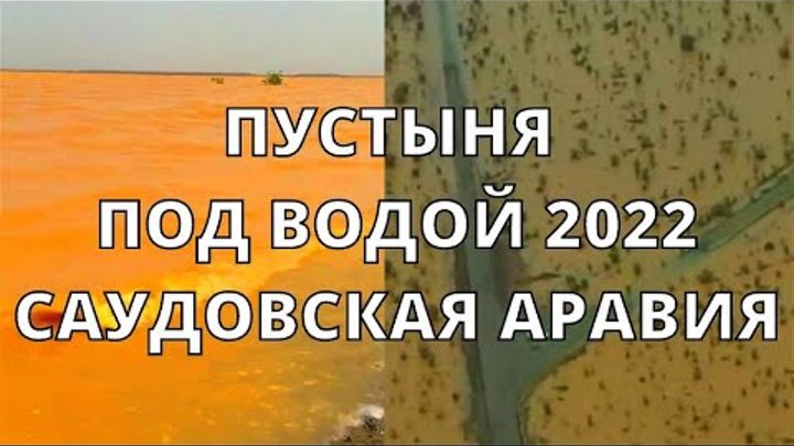 Затопило пустыню в саудовской аравии. Потоп в оаэ 2022. Затопило пустыню в саудовской аравии. Потоп в пустыне саудовская аравия. Наводнение в пустыне саудовской аравии.