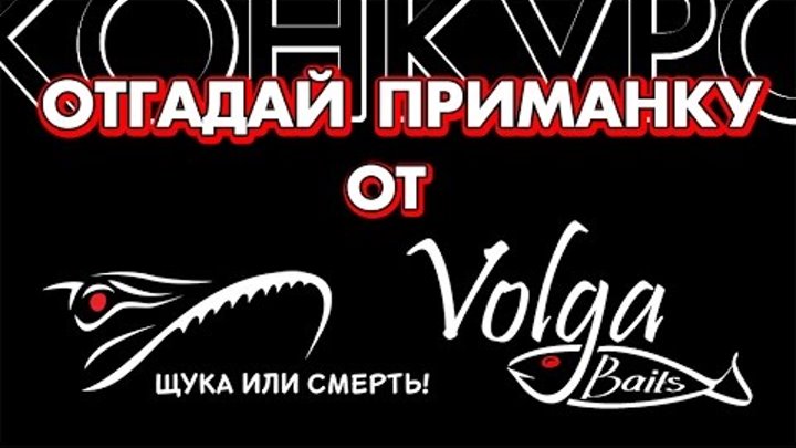 Volgabaits. Volgabaits. Футболка volga baits narval letters c длинным рукавом р48. Volgabaits логотип. Воблер зип бейтс хамсин.