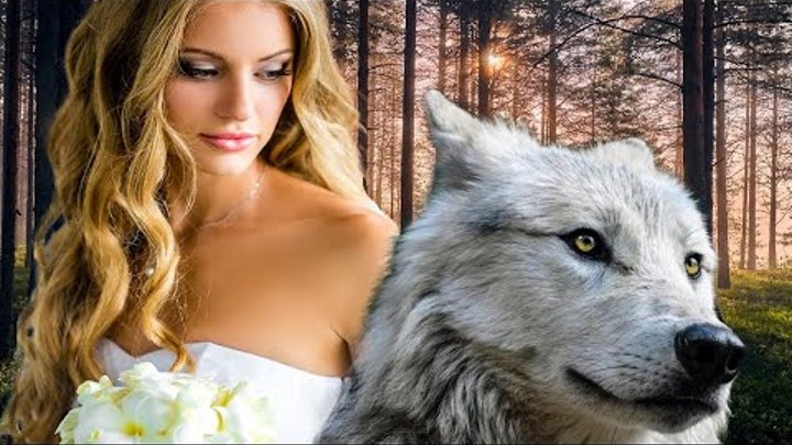 Санса старк королева севера. Бесплатная песня волчица добронравова. Бесплатная песня волчица добронравова. Софи тернер и волк. Бесплатная песня волчица добронравова.