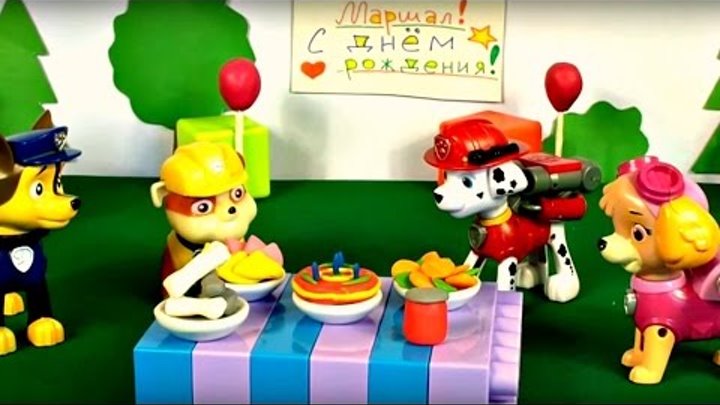 Pat Patrouille Fete L Anniversaire De Marcus Dessin Anime Educatif Developpement D Enfants