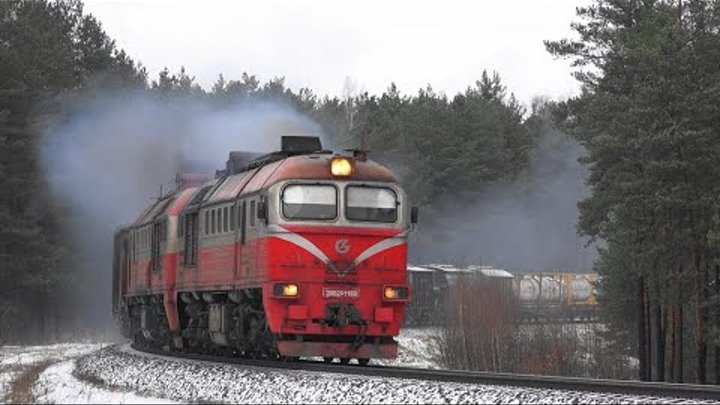 дизель в литве