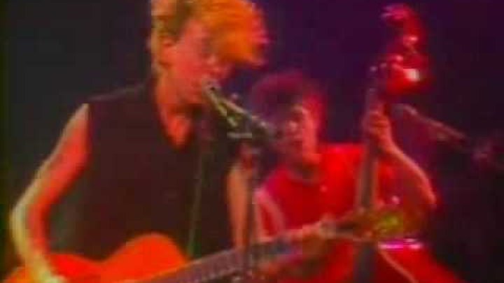 Stray cats ubangi stomp