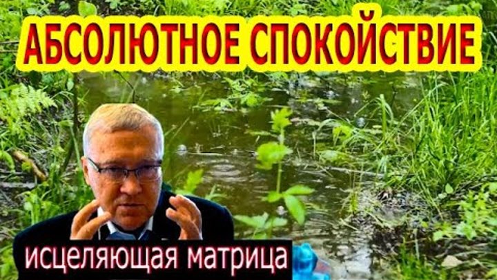 Матрица гаряева уши. Матрица гаряева уши