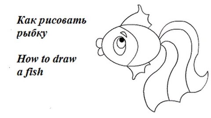 поэтапное рисование золотой рыбки. рисование золотая рыбка.