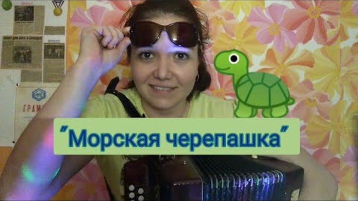 Черепашка по имени наташка с очками. Морская черепашка с очками из китая. Черепашка по имени наташка с очками. Черепашка по имени наташка с очками. Смешная черепашка по имени наташка.