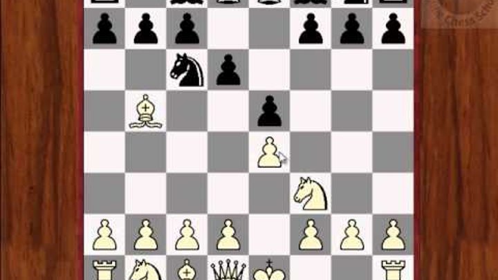 Правильное расположение фигур на шахматной доске