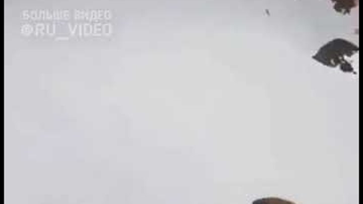 персики в саду. персик ты куда может обратно. люблю персик. персик может обратно. персик один.